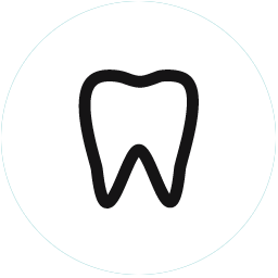 tooth icon