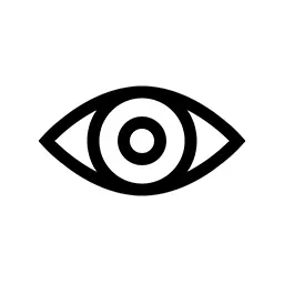 Vision Services